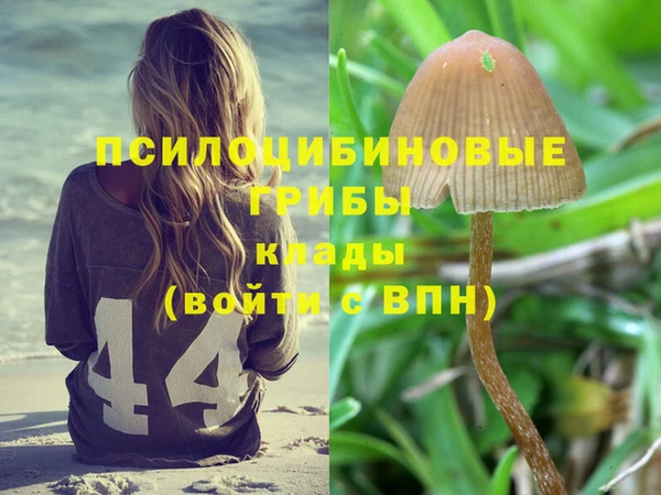 соль курить ск Кодинск