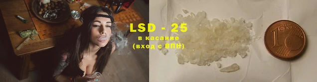a pvp Козловка