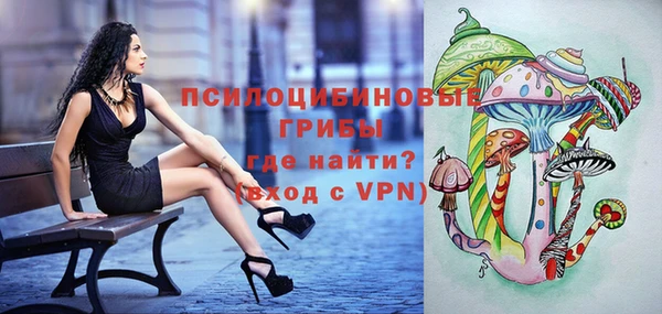 a pvp Козловка